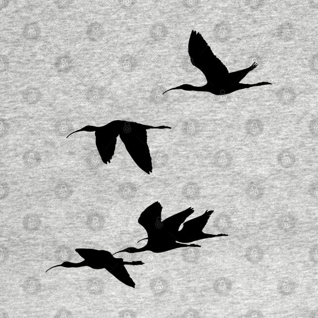 Silhouette of Glossy Ibises In Flight by taiche